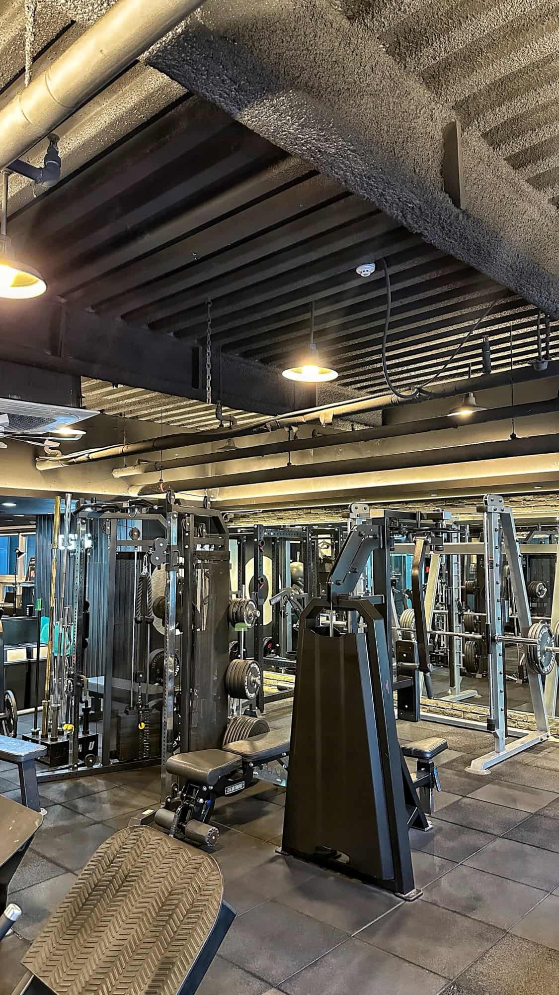D GYM 웨이트 존 전경