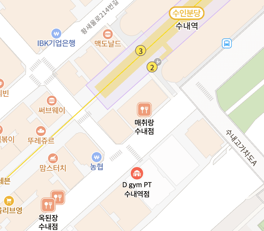 D GYM 수내역점 네이버 지도 위치